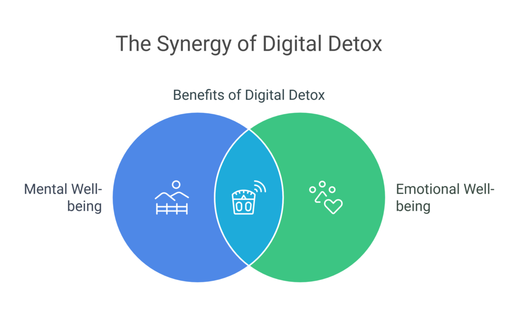 Digital Detox