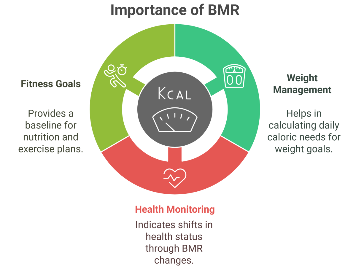 Basal Metabolic Rate